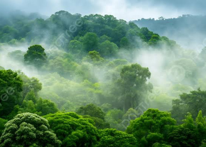 Indonesia–Norwegia Perkuat Aliansi Hijau, Dorong Energi Bersih dan Perlindungan Hutan Hadapi Krisis Iklim