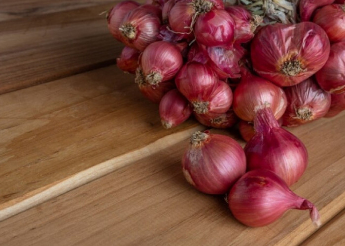 Meski Bau, Kulit Bawang Merah Punya Manfaat Sebagai Pestisida Begini Cara Pakainya