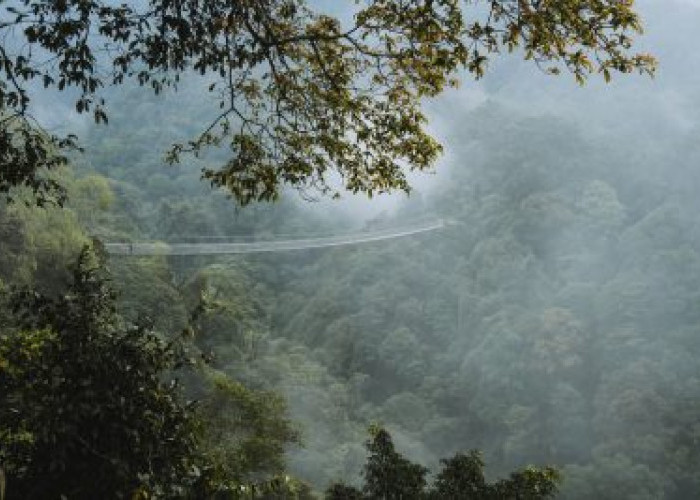 Jembatan Terpanjang di Asia Tenggara Ada di Sukabumi, Berani Coba?
