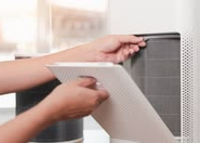 Karhutla Indonesia Picu Lonjakan Penjualan Air Purifier hingga 9 Kali Lipat di Asia Tenggara