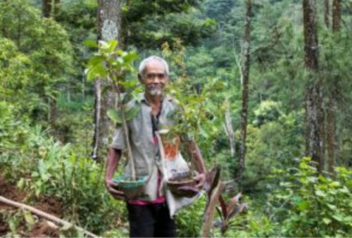 Perjuangan Mbah Sadiman Hijaukan Wonogiri, Tanam 11 Ribu Pohon, Kini Desanya Tak Lagi Kekeringan 