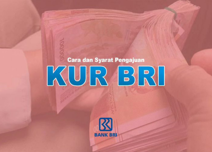 Simulasi Angsuran KUR BRI 2023 Dengan Pinjaman Rp40 Juta 