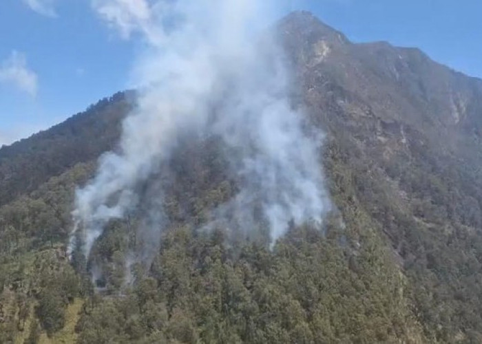 Gunung Arjuno Kembali Kebakaran, Pijar Api di Lereng Terlihat Jelas dari Gerbang Tol Malang