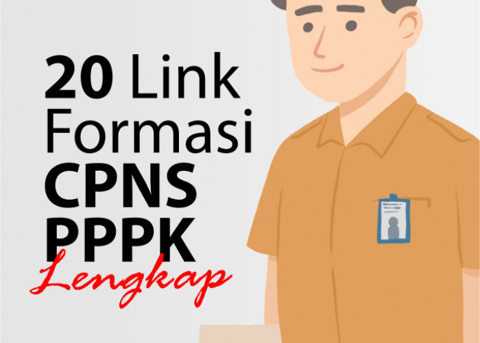  20 Link Formasi PNS dan PPPK Lengkap