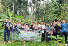 KAMMI Serang Tanam Pohon untuk Dukung Upaya Reforestasi di Pandeglang