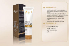 Kandungan Tone Up dari B Erl WOW Lightening Body Serum