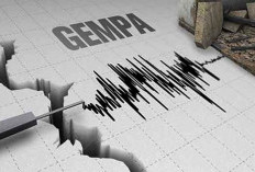 5 Hal yang Harus Dilakukan Saat Terjadi Gempa, Jangan Panik!