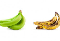 Pisang Hijau, Kuning, atau Berbintik Cokelat, Mana yang Lebih Sehat?