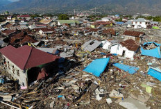 2.768 Gempa Susulan Guncang Flores, Warga Diminta Tetap Waspada