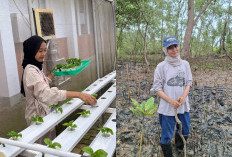‎Bertani Ala Gen Z, Hidroponik Jadi Pilihan