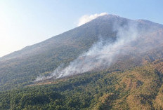 Kebakaran Hutan Melalap Taman Nasional Gunung Ciremai, Api Masih Membara Hingga Kamis Pagi