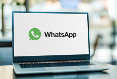 WhatsApp Web Bakal Bisa Video Call Grup, Meeting Dadakan Kini Tak Perlu Buka HP