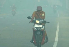 Kabut Asap Karhutla Makin Mengkhawatirkan, Kasus Gangguan Pernapasan Meningkat