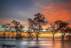 Pantai Laguna: Spot Sunset Paling Mantul di Pandeglang 