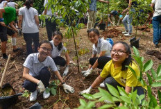 Pemerintah Perkuat Pemulihan Gambut dan Mangrove untuk Cegah Karhutla Berulang