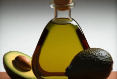 Manfaat Minyak Alpukat untuk Rambut: Bikin Lembap, Kurangi Rontok, hingga Bantu Rambut Tumbuh Lebih Sehat