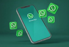WhatsApp Kembangkan Fitur Scam Alert Berbasis AI, Pengguna Akan Diperingatkan Saat Terima Pesan Penipuan