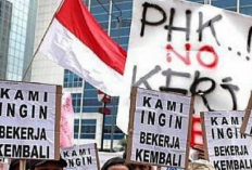 Gelombang PHK Mengintai, Ribuan Buruh di Jawa Terancam Kehilangan Pekerjaan
