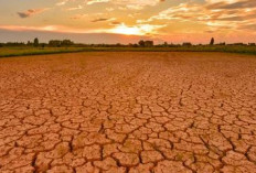El Nino Ancam Asia Tenggara, Krisis Pangan dan Inflasi Diperkirakan Meningkat