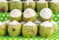 Cuaca Panas? Ini 4 Manfaat Air Kelapa yang Bikin Tubuh Tetap Segar