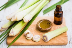 Manfaat Air Serai: Atasi Stres, Redakan Nyeri, dan Sehatkan Imun