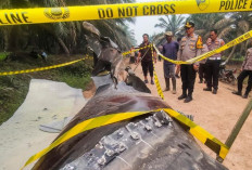Serpihan Roket China Jatuh di Kebun Sawit Kalimantan Tengah, BRIN Duga Asal Zhuque-2E