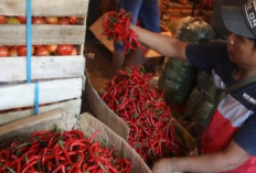Harga Cabai dan Bawang Merah di Banten Melonjak Jelang Nataru, Cuaca Buruk Jadi Penyebab