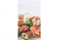 Protein Berkualitas, Kunci Tubuh kalian Sehat dan Bertenaga Setiap Hari dan bisa melakukan aktifitas lainnya.