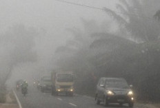 Kabut Asap Menyeberang ke Malaysia, Seberapa Parah Karhutla Indonesia Tahun Ini?