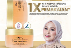 Transformasi Kulit Sehat dengan B Erl GojiCacteen Treatment Soothing Gel: Inovasi Penenang Kulit Berbasis Ekst