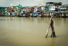 Miris! 6 Wilayah Papua Masuk Daftar Provinsi Termiskin di Indonesia