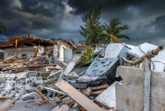Gempa M7,7 Guncang NTT, Tsunami Berakhir: Seberapa Siap Indonesia Hadapi Bencana?
