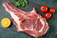 Jangan Sampai Salah Simpan! 5 Tips Menangani Daging Kurban Sebelum Masuk Kulkas