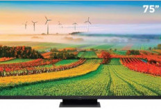 3 Rekomendasi TV Mini LED 75 Inch Terbaik untuk Pengalaman Menonton Sinematik dengan Gambar Tajam