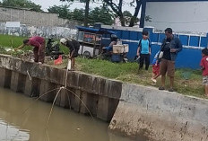 Warga Ramai-ramai Menangkap Ikan Mabuk di Anak Sungai Cisadane, Kadis Kesehatan: Jangan Dikonsumsi 