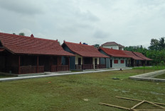 Penerimaan Santri Baru  Yayasan Nur Fadillah Utomo Serang Banten