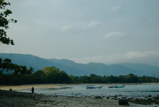 Pantai Daplangu, Wisata Murah Meriah dengan Panorama Laut dan latar Gunung Honje