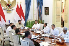 Karhutla Masih Membakar 639 Hektare Lahan, 60 Ribu Personel Dikerahkan di Enam Provinsi