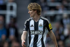 Bayern Munich Incar Anthony Gordon untuk Pelapis Luis Diaz