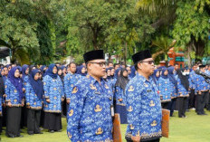 Mulai 1 Agustus 2026, Usulan Pemberhentian PNS, PPPK, dan PPPK Paruh Waktu Resmi Dibuka