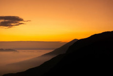 7 Wisata Gunung Papandayan yang Wajib Dikunjungi, Surganya Pecinta Alam