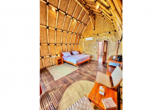 MareCoves Resort & Glamping, Hidden Gem Eksotis di Pantai Talanca Lebak yang Kian Diburu Wisatawan