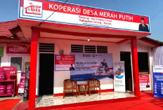 Koperasi Desa Merah Putih Dibiayai Himbara, Siapa Menanggung Risikonya