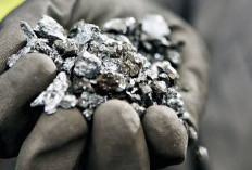 Harga Nikel Berpotensi Naik, Hilirisasi Indonesia Siap Petik Peluang Emas Investasi