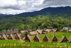 Desa Adat Ciptagelar yang Menyimpan Pangan, Identitas, dan Masa Depan