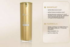 Kandungan Face Serum dari B Erl, Skincare Lokal Buatan ART