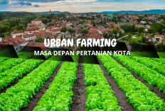 Urban Farming Jadi Solusi Ketahanan Pangan Mandiri di Perkotaan yang Minim Lahan