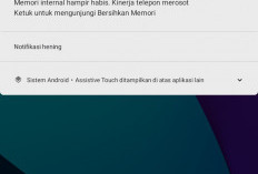 Memori HP Sekarat? Ini Cara Jinakkan 'Monster Pemakan Penyimpanan' di WhatsApp dan Telegram