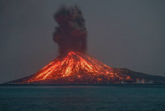 Tips Hadapi Erupsi Gunung Anak Krakatau, Jangan Panik dan Kenali Langkah Evakuasinya