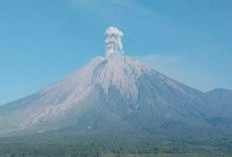Semeru Erupsi 3 Kali dalam Dua Jam, Kolom Abu Makin Tinggi hingga 1.000 Meter